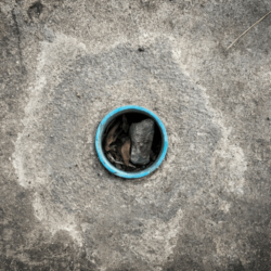 Discover the Best Solutions for Blocked Drains in Essex – Visit Website