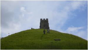 Pest Control Hertfordshire: Protecting Your Home and Family from Pests