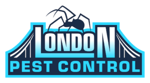 “Say Goodbye to Pests: The Ultimate Guide to Pest Control in London”